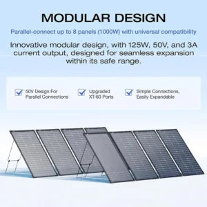 Everglow Tech EcoFlow 125W Bifacial Modular Solar Panel x 2PCS (EFSOLAR125N)