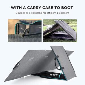 Everglow Tech EcoFlow 110W Portable Solar Panel (EFSOLAR110N)
