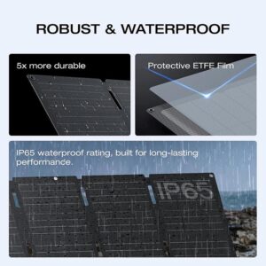 Everglow Tech EcoFlow 45W Portable Solar Panel (EFSOLAR45)